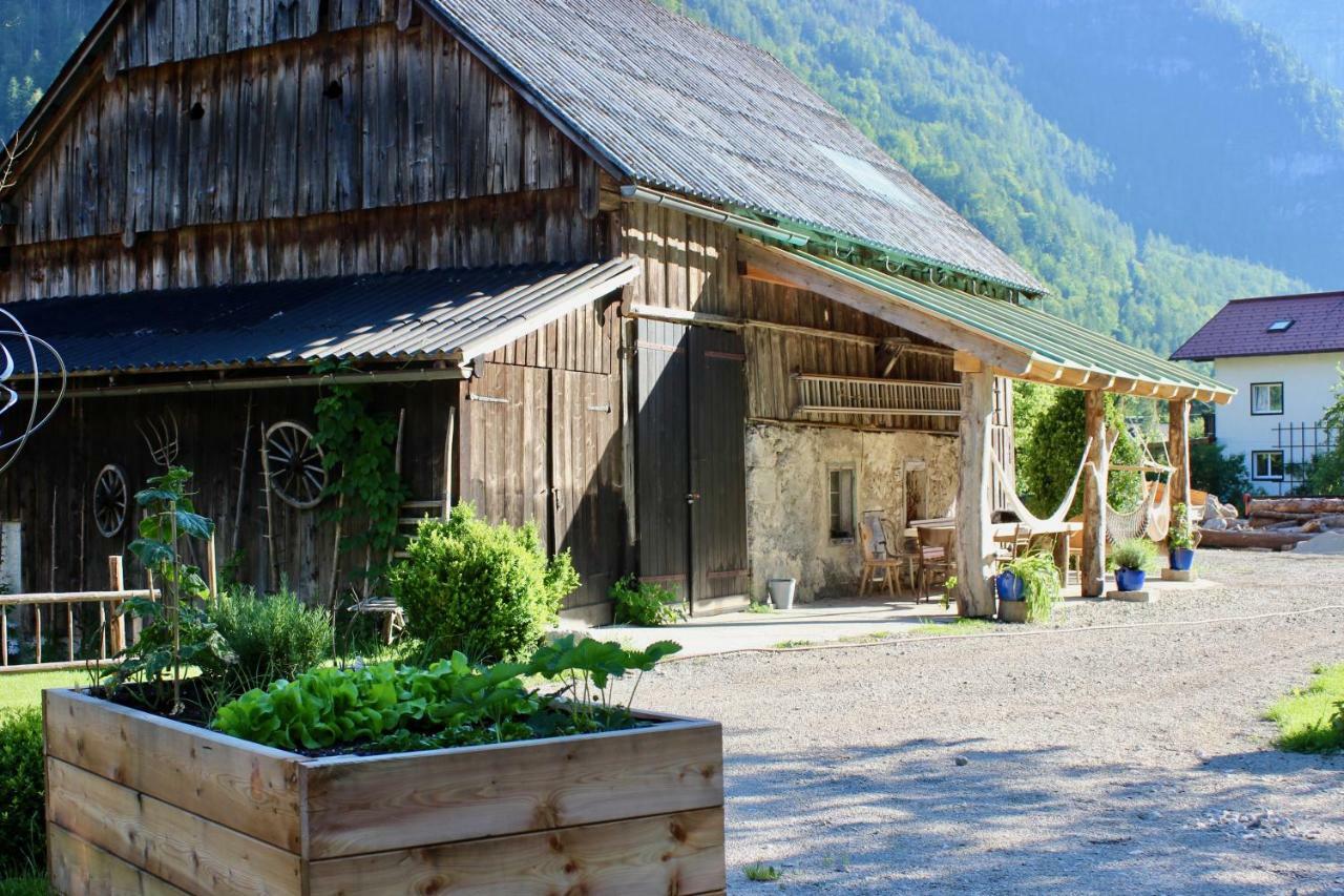 Chalet Am Sonnenhang Apartment Obertraun Exterior photo